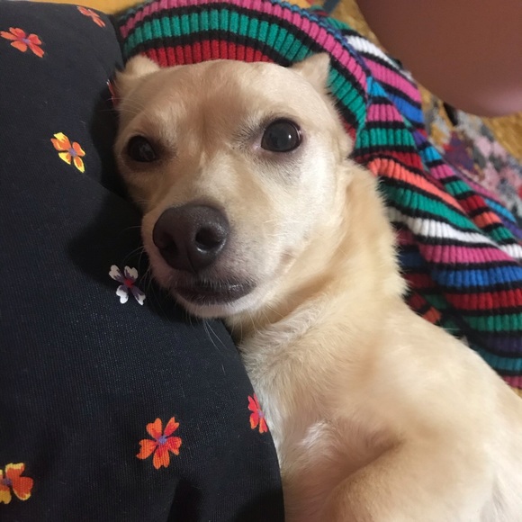 Meet your Posher, Jessica - Picture 1 of 1